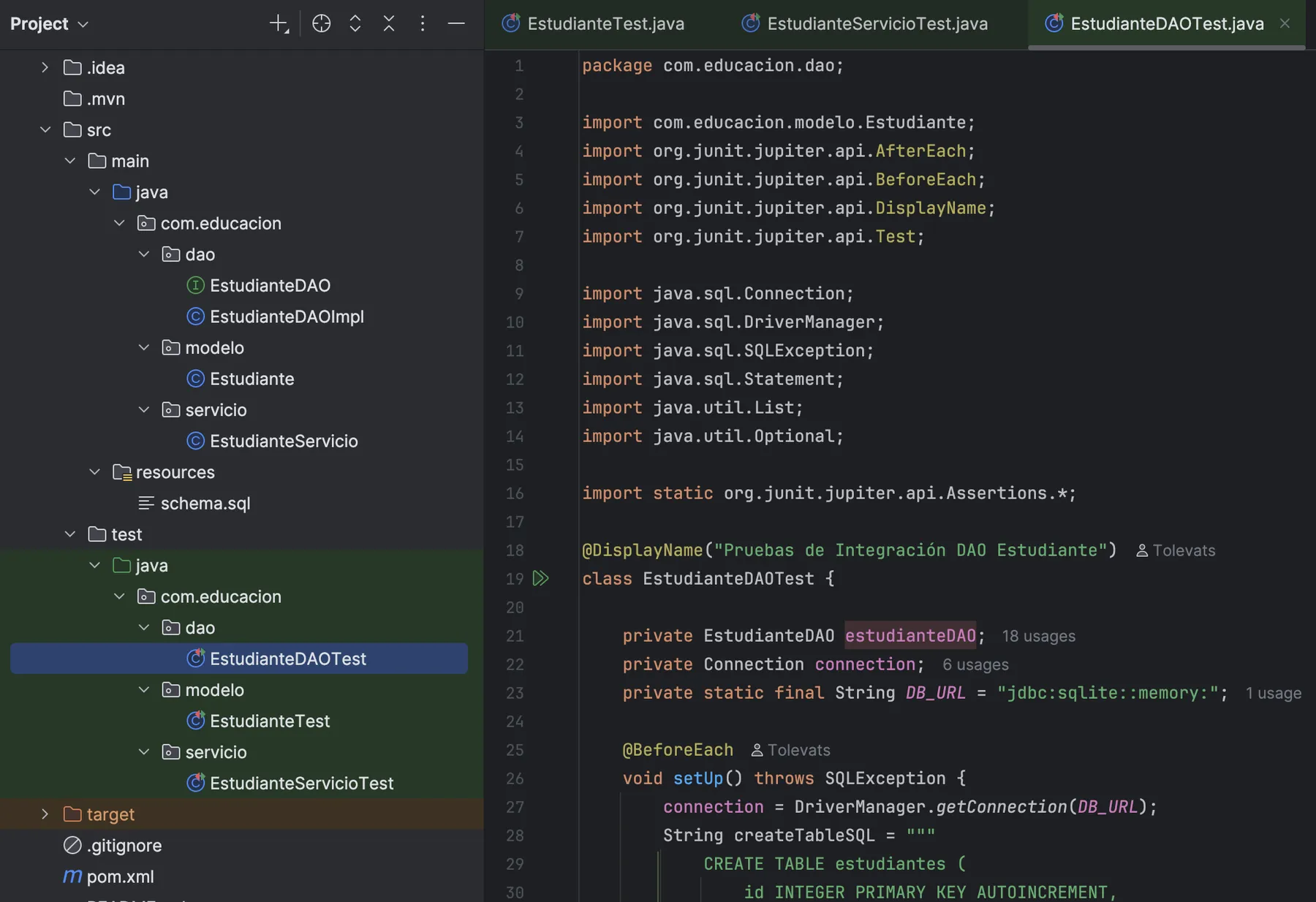Screenshot of project code in IntelliJ IDEA CE